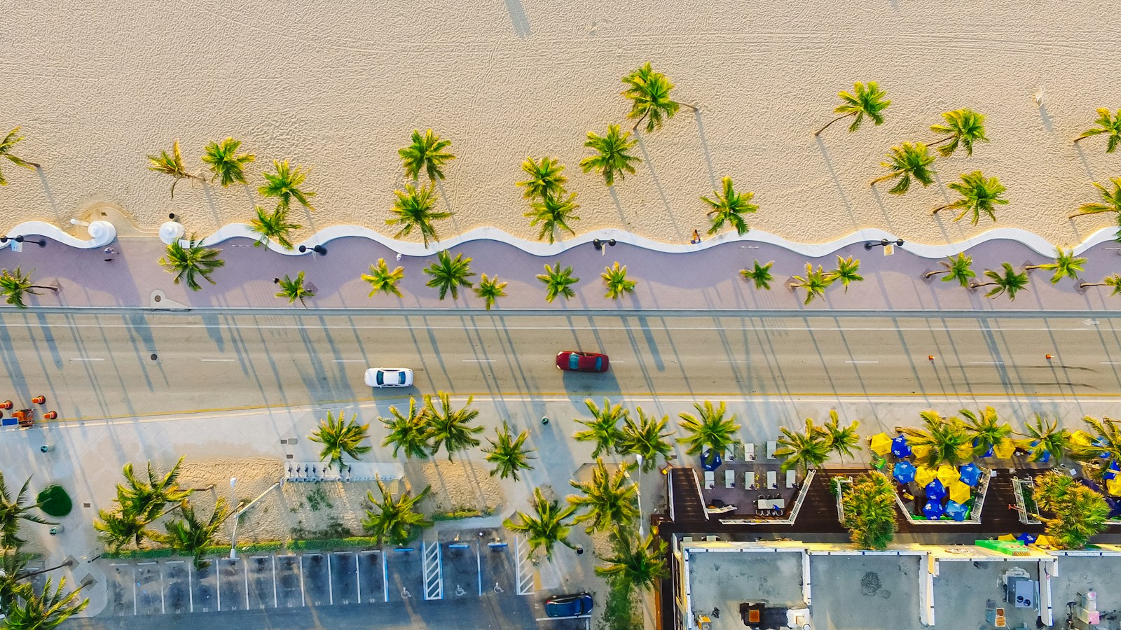 high-angle photography of two red and white vehicles on concrete road between trees and buildings at daytime, florida car insurance